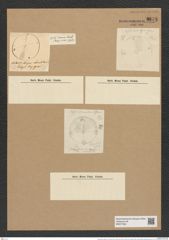 Aulacodiscus kittonii var. johnsonii (Arn.) Rattr. (de-Toni-Nr.: Genus 182, Species 4561) Zeichnungen Sammlung Grunow Nr. 8178 (NHMW-BOT-W0377552)
